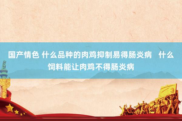 国产情色 什么品种的肉鸡抑制易得肠炎病   什么饲料能让肉鸡不得肠炎病