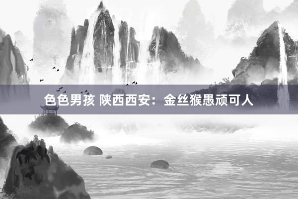 色色男孩 陕西西安：金丝猴愚顽可人