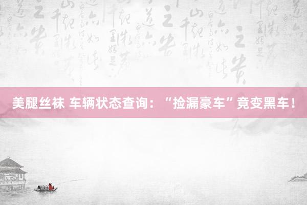 美腿丝袜 车辆状态查询：“捡漏豪车”竟变黑车！