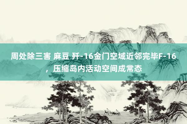 周处除三害 麻豆 歼-16金门空域近邻完毕F-16，压缩岛内活动空间成常态