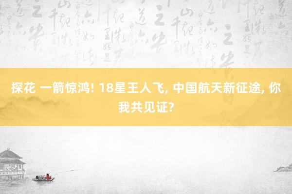 探花 一箭惊鸿! 18星王人飞， 中国航天新征途， 你我共见证?