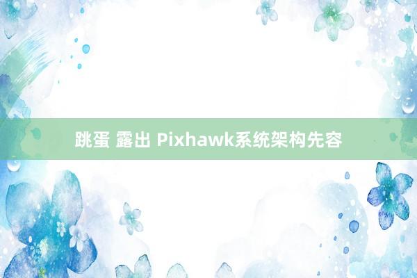 跳蛋 露出 Pixhawk系统架构先容